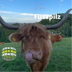 Logo of the podcast Fusspilz Podcast Fusspilz