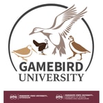 Logo of the podcast Gamebird University Podcast Gamebird University
