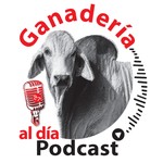 Logo of the podcast Ganadería al día Podcast Ganadería al día