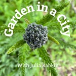 Garden in a City Podcast Garden in a City