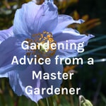 Logo of the podcast Gardening Advice from a Master Gardener Podcast Gardening Advice from a Master Gardener