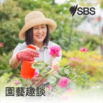 Logo of the podcast Gardening Tips - 園藝趣談 Podcast Gardening Tips - 園藝趣談
