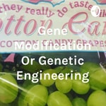 Podcast Gene Modification Or Genetic Engineering