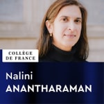 Logo of the podcast Géométrie spectrale - Nalini Anantharaman Logo of the podcast Géométrie spectrale - Nalini Anantharaman