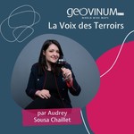 Logo of the podcast geoVINUM β La voix des terroirs Podcast geoVINUM β La voix des terroirs
