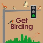 Get Birding Get Birding