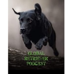 Logo of the podcast Global Retriever Podcast 