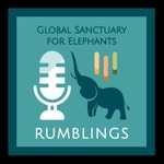 Logo of the podcast Global Rumblings Podcast