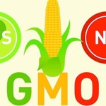 Logo of the podcast GMOs and engineered food Podcast GMOs and engineered food