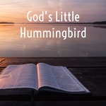 Logo of the podcast God’s Little Hummingbird: Bible Time (Messianic ) Podcast God’s Little Hummingbird: Bible Time (Messianic )