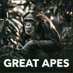 Logo of the podcast Great Apes Podcast Great Apes