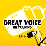 Logo of the podcast Great Voice No Training Podcast Great Voice No Training