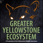 Greater Yellowstone Ecosystem Greater Yellowstone Ecosystem