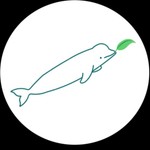 Logo of the podcast Green Beluga Diabetes Podcast Green Beluga Diabetes