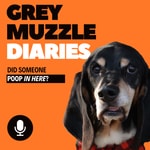 Grey Muzzle Diaries