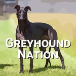 Greyhound Nation Greyhound Nation