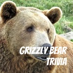 Podcast Grizzly Bear Trivia