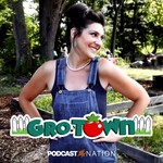 Logo of the podcast Gro-Town Podcast Podcast Gro-Town Podcast
