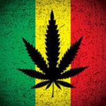 Podcast Grow Radio Show