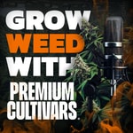 Logo of the podcast Grow Weed with Premium Cultivars Podcast Grow Weed with Premium Cultivars
