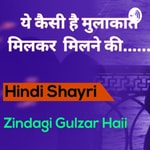 Logo of the podcast Gulzar Poetry Hindi Shayri Podcast Gulzar Poetry Hindi Shayri
