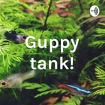 Logo of the podcast Guppy tank! Podcast Guppy tank!