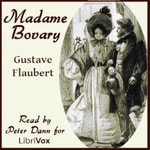 Logo of the podcast Gustave Flaubert, Madame Bovary, New Version Podcast Gustave Flaubert, Madame Bovary, New Version