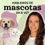 Logo of the podcast Hablemos de Mascotas con Dr.B Vet Podcast Hablemos de Mascotas con Dr.B Vet