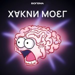 Хакни мозг Podcast Хакни мозг