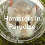 Logo of the podcast Hamsters In Paradise Podcast Hamsters In Paradise