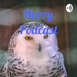 Logo of the podcast Harry Podcast Podcast Harry Podcast