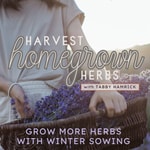 Logo of the podcast Harvest Homegrown Herbs | Raised Garden Bed, Simple Plan, Self Sufficient, Pest Control, Herbal Tea Podcast Harvest Homegrown Herbs | Raised Garden Bed, Simple Plan, Self Sufficient, Pest Control, Herbal Tea