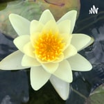 Logo of the podcast Heilsames Leben mit Yoga, Naturheilkunde, Geführte Meditation Realtalk Podcast Heilsames Leben mit Yoga, Naturheilkunde, Geführte Meditation Realtalk