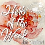 Logo of the podcast Herb of the Week Podcast Herb of the Week