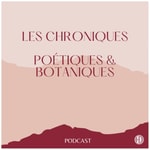 Logo of the podcast Herbal District Podcast Herbal District