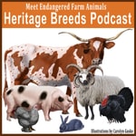 Logo of the podcast Heritage Breeds Podcast Missing podcast logo