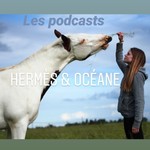 Logo of the podcast Hermès et Océane Podcast Hermès et Océane