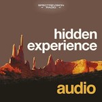 Logo of the podcast hidden experience audio Podcast hidden experience audio