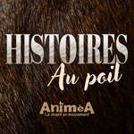 Logo of the podcast Histoires au poil Podcast Histoires au poil