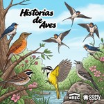 Logo of the podcast Historias de Aves Podcast Historias de Aves