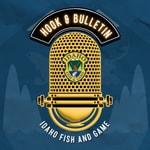 Hook & Bulletin Hook & Bulletin