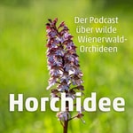 Horchidee Podcast Horchidee