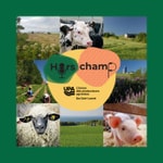 Logo of the podcast Hors champ Podcast Hors champ