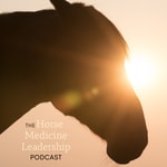 Horse Medicine Leadership Horse Medicine Leadership