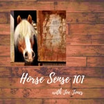 Podcast Horse Sense 101