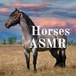 Logo of the podcast Horses ASMR Podcast Horses ASMR