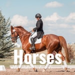 Logo of the podcast Horses Podcast Horses