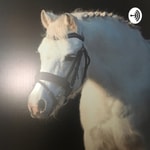 Podcast Horsetalk