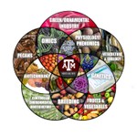 Logo of the podcast Horticulture Innovators Podcast Horticulture Innovators