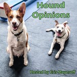 Hound Opinions Podcast Hound Opinions